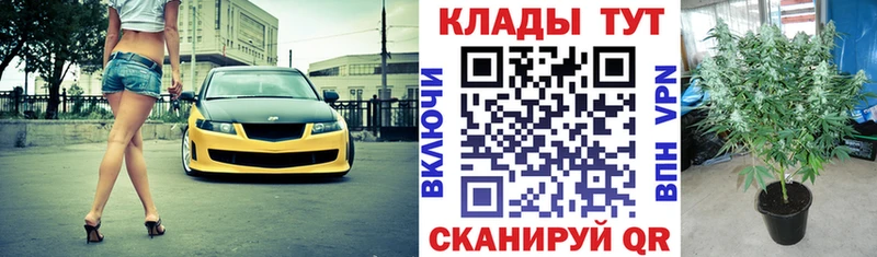 Все наркотики Тайга АМФ  СК  Гашиш  Канабис 