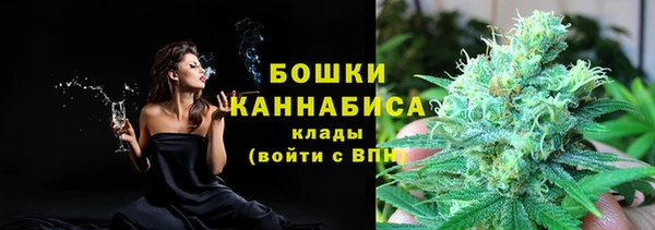 Альфа ПВП Белокуриха