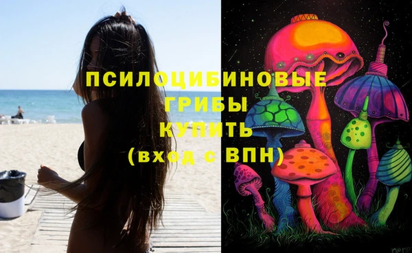 амф Беломорск