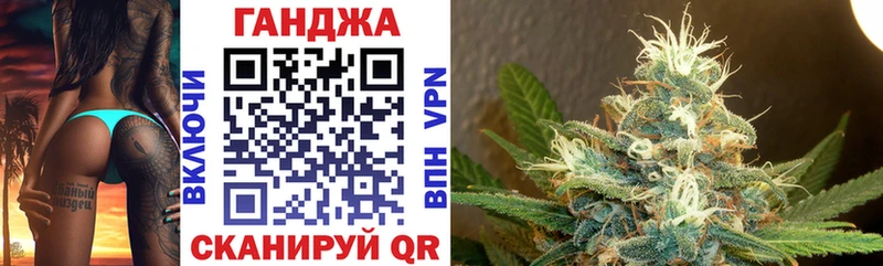 где найти   Тайга  Канабис конопля 